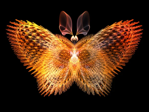 Blask motyl — Zdjęcie stockowe