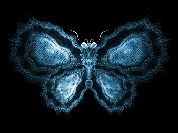 Фари метелик — стокове фото