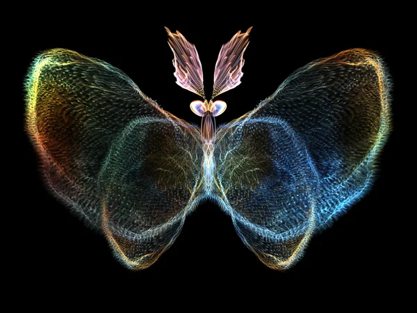 Záře motýl — Stock fotografie