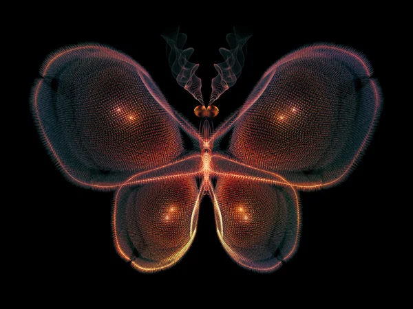 Toward Digital Butterfly — Stock Photo, Image