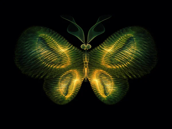 Toward Digital Butterfly — Stock Photo, Image