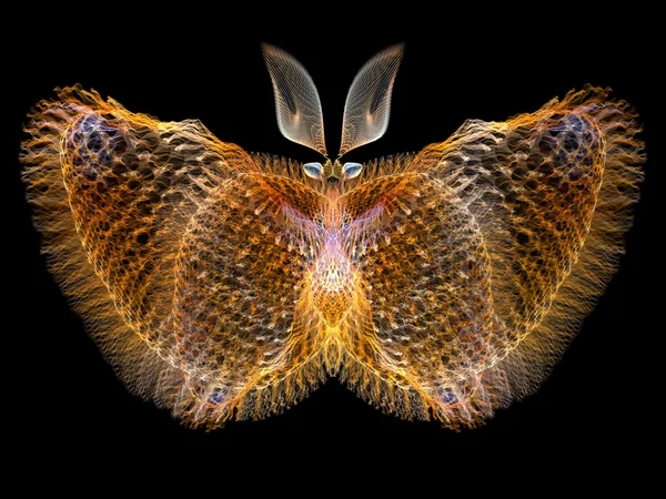 Digital Butterfly — Stock Photo, Image