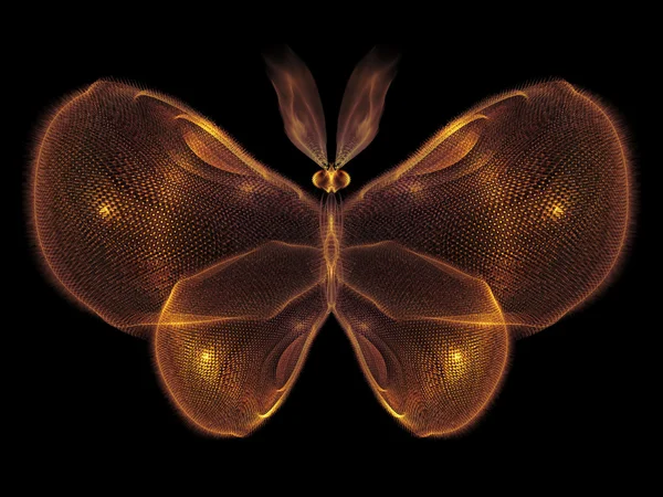 Mariposa conceptual — Foto de Stock