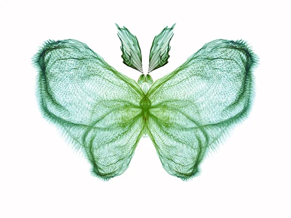 Butterfly Visualization — Stock Photo, Image