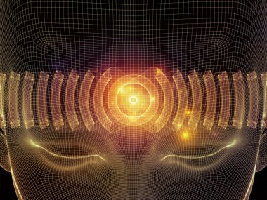 Neden çeşitliliği