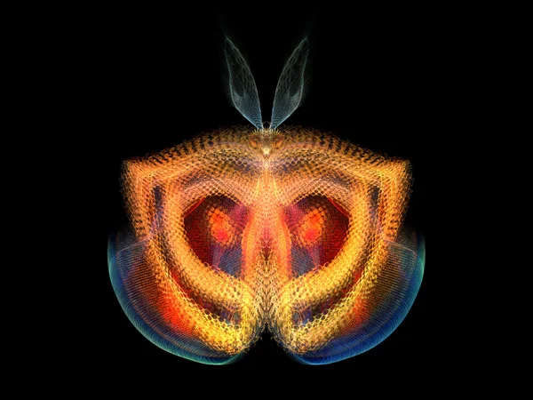 Mariposa intrincada — Foto de Stock