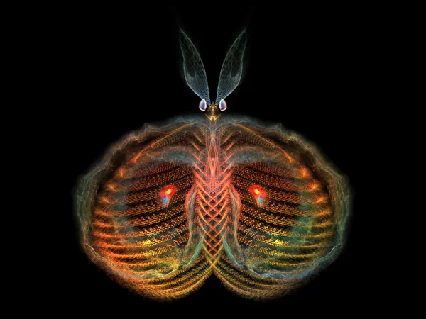 복잡 한 나비 — 스톡 사진