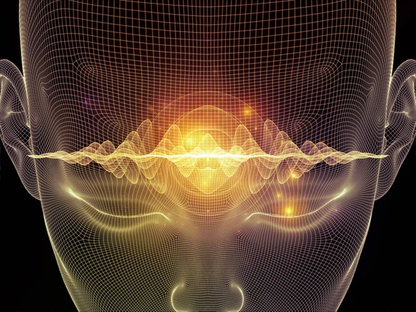 Neden çeşitliliği