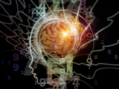 Zihnin Arayışında