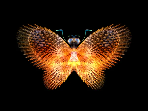 Digital Butterfly — Stock Photo, Image