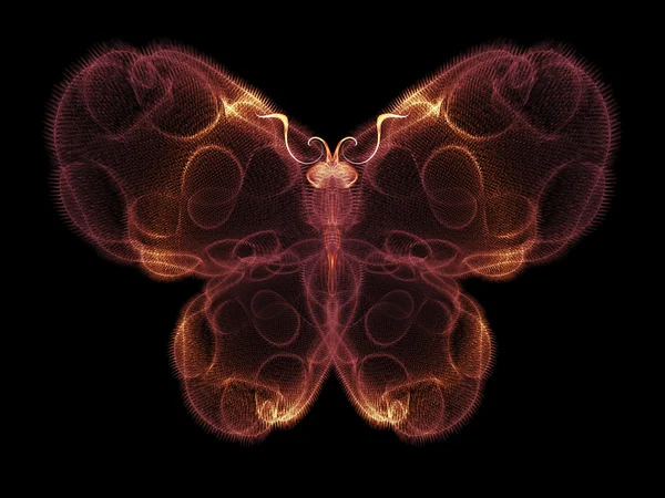 Butterfly Visualization — Stock Photo, Image