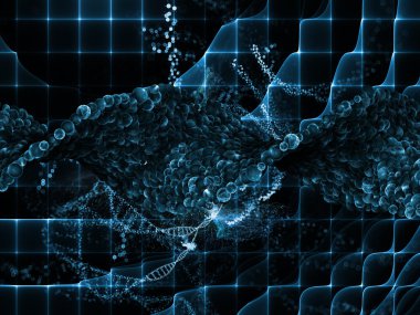 mikro kozmos iç hayatı