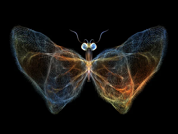 Digital Butterfly — Stock Photo, Image