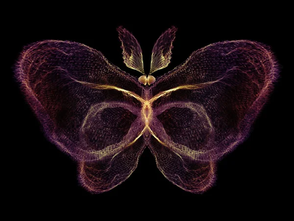 Op zoek naar vlinder — Stockfoto