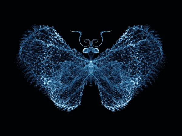 Güzel kelebek — Stok fotoğraf