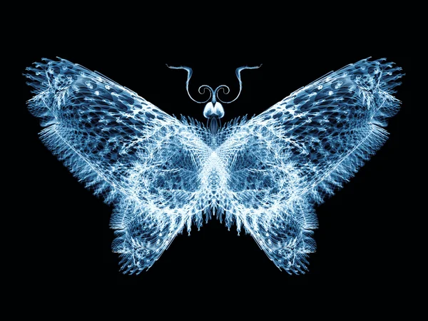 Ilusión de la mariposa —  Fotos de Stock