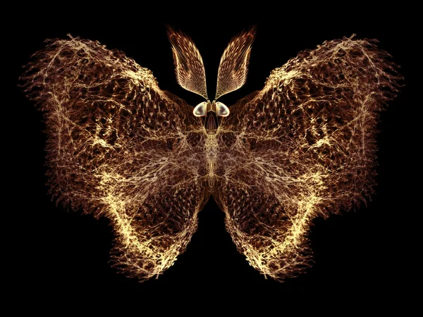 Illusion of Butterfly — Stock Photo, Image