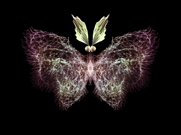 Illusion of Butterfly — Stock Photo, Image