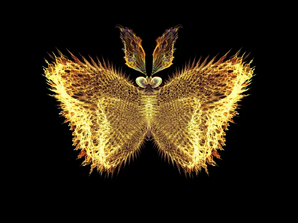 Magic av fjäril — Stockfoto