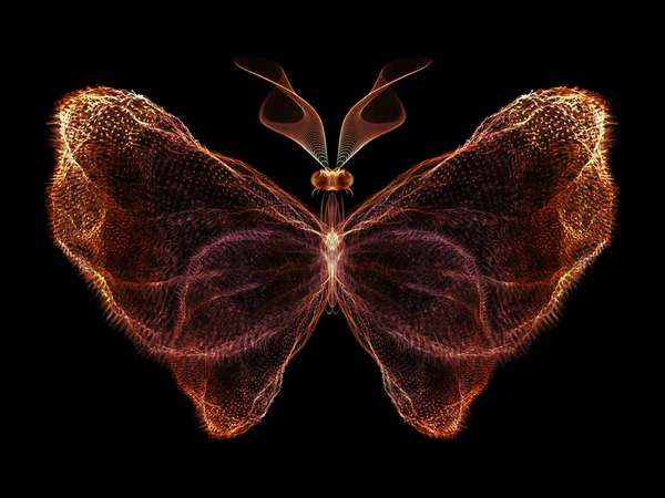 Conceptuele vlinder — Stockfoto