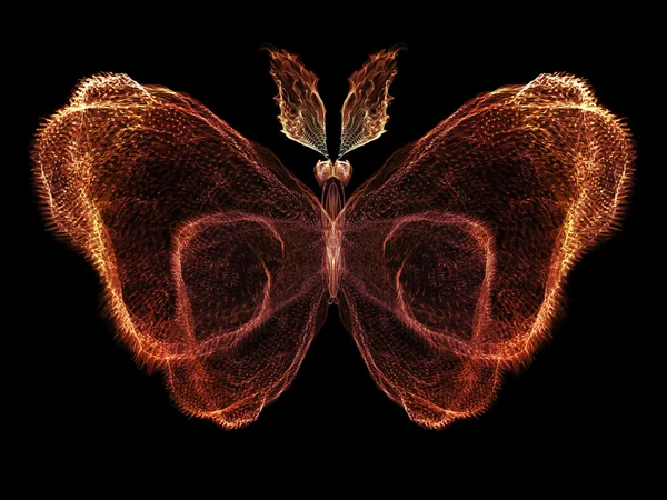 Butterfly Visualization — Stock Photo, Image