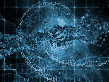 mikro kozmos iç hayatı