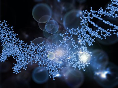 gelişen küçük evren