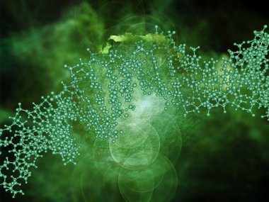 DNA'ın iç hayatı