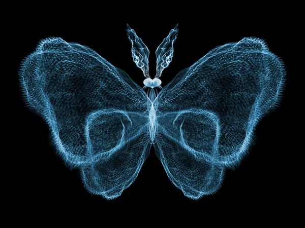 Accidental Butterfly — Stock Photo, Image