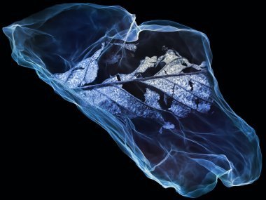 zihin parçacığın yolu