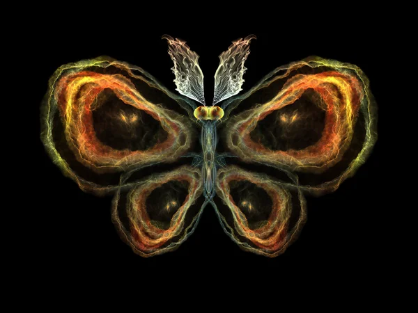 Schmetterlingselemente — Stockfoto