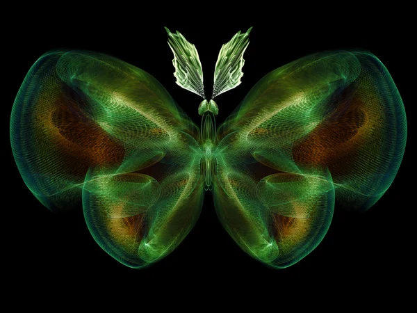 Visualización de mariposas — Foto de Stock