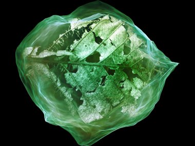 rüya parçacık iç hayatı