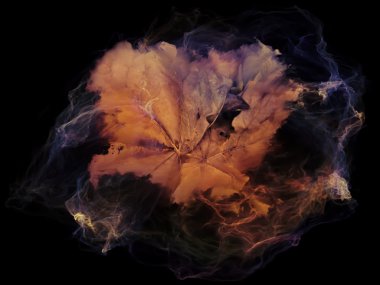 Mecazi zihin parçacık