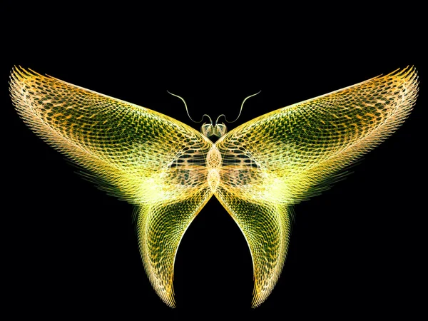 Diseño de mariposa — Foto de Stock