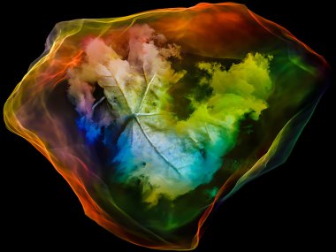 zihin parçacık krallıkları