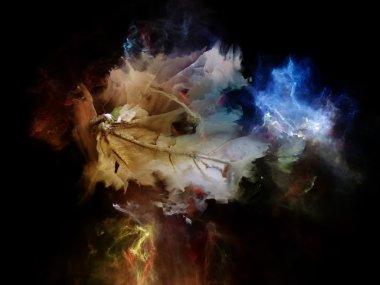 Rüya alanı krallıkları