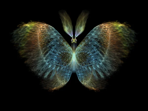 Eleganza della farfalla — Foto Stock
