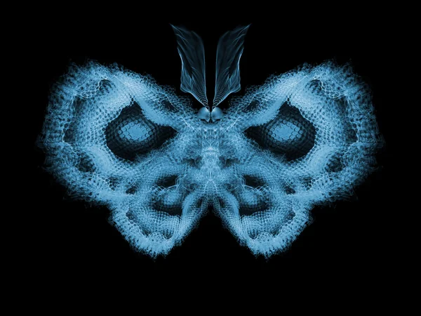 Versehentlicher Schmetterling — Stockfoto