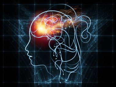 insan bağlantıları