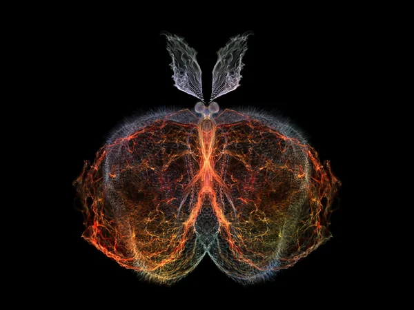 蝶の優雅 — ストック写真
