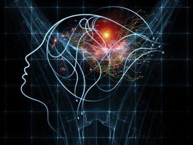 insan bağlantıları