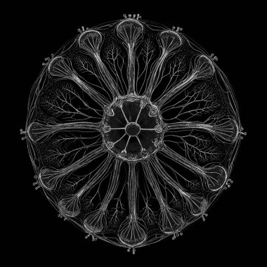 Yaşam formları dizisinin yaratılışı. Dijital sanat, ışık algısı, hayal gücü ve yaratıcılık konularındaki noktalama işaretinin basitliği ile bir yaşam formunun güzelliğinin arkaplanı.