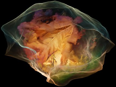 önceden zihin parçacık