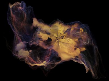 iç zihin parçacık ömrünü