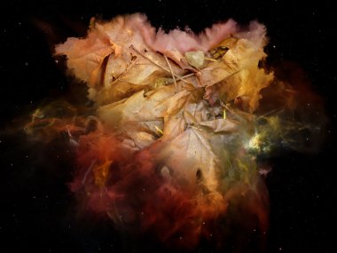 Paradigma rüya alanı