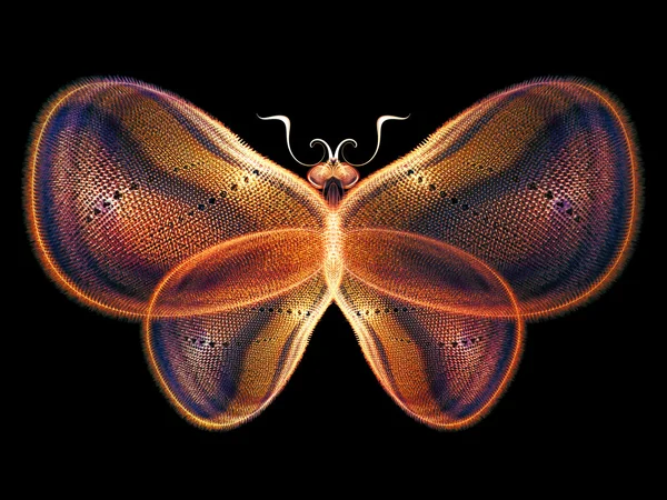 Eleganz des Schmetterlings — Stockfoto