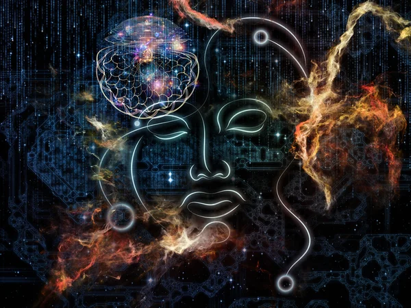 Kadın eğrileri paradigması