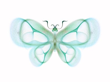 Butterfly Abstraction background