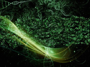 mikro kozmos iç hayatı